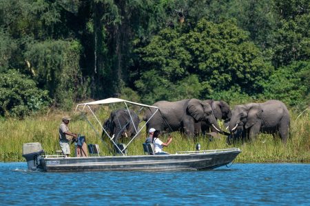 ISLAND BOAT TOUR